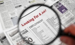 Looking for a Job!