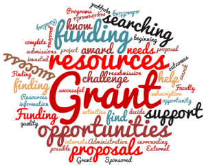 Read more about the article Grant Funding Resources