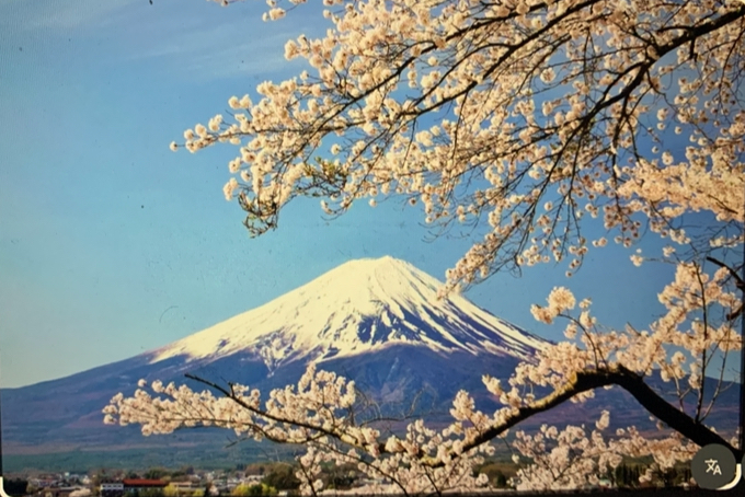 Study Abroad Journal: Japan is way out of the comfort zone