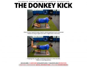 Read more about the article Donkey Kick