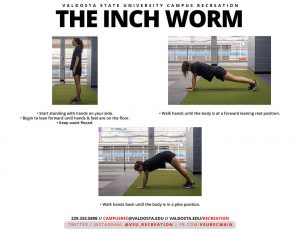 Read more about the article Inch Worm