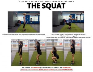 Read more about the article Squat